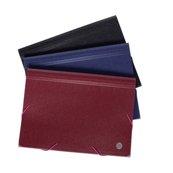 Carpeta Organizador FW A4