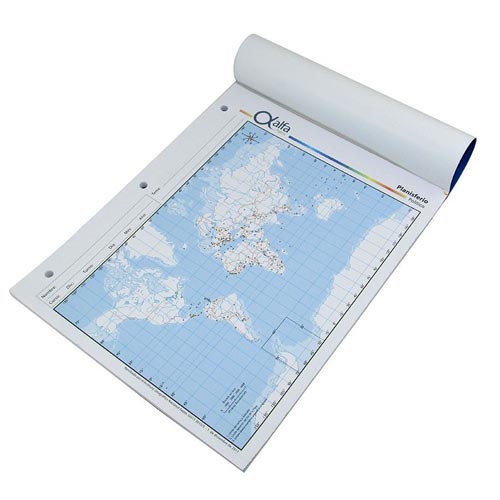 Mapa Planisferio Político
